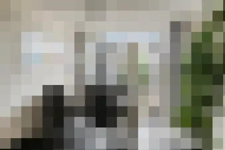 Abraham Kuijperstraat 43 Tilburg thumbnail 13