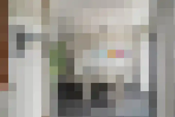 Abraham Kuijperstraat 43 Tilburg thumbnail 14