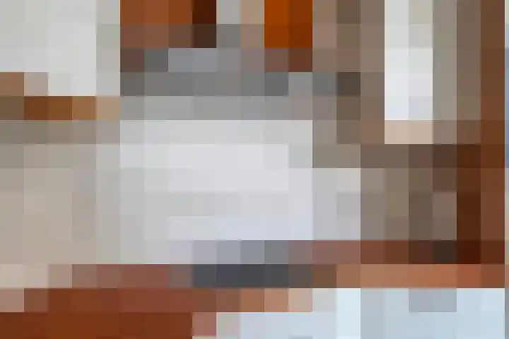 Abraham Kuijperstraat 43 Tilburg thumbnail 16