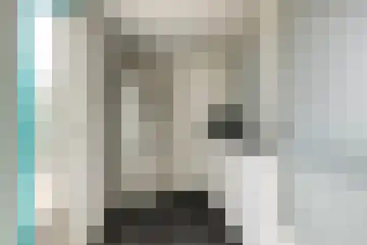 Abraham Kuijperstraat 43 Tilburg thumbnail 18