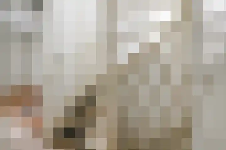Abraham Kuijperstraat 43 Tilburg thumbnail 20