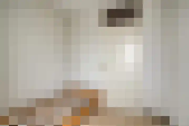 Abraham Kuijperstraat 43 Tilburg thumbnail 26
