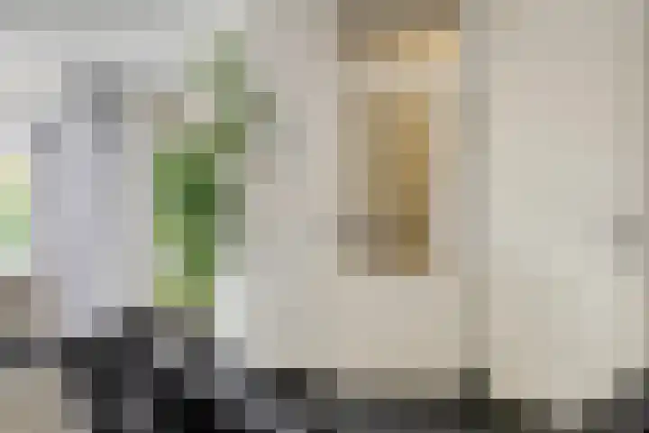 Abraham Kuijperstraat 43 Tilburg thumbnail 9