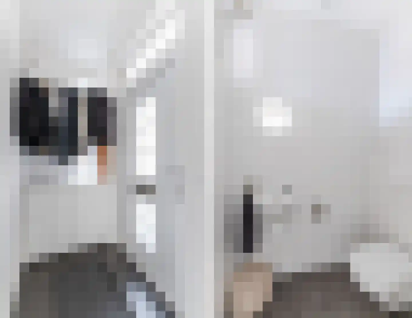 Abraham Kuijperstraat 56 Tilburg thumbnail 11