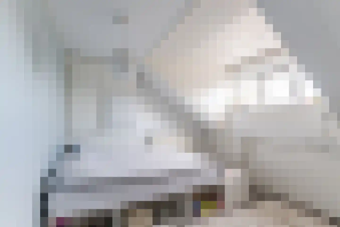 Abraham Kuijperstraat 56 Tilburg thumbnail 22