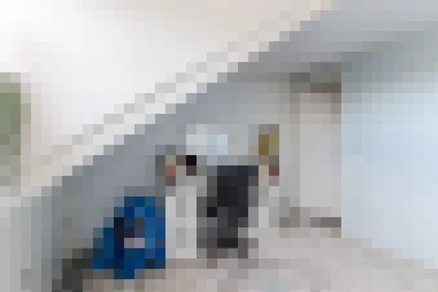 Abraham Kuijperstraat 56 Tilburg thumbnail 23