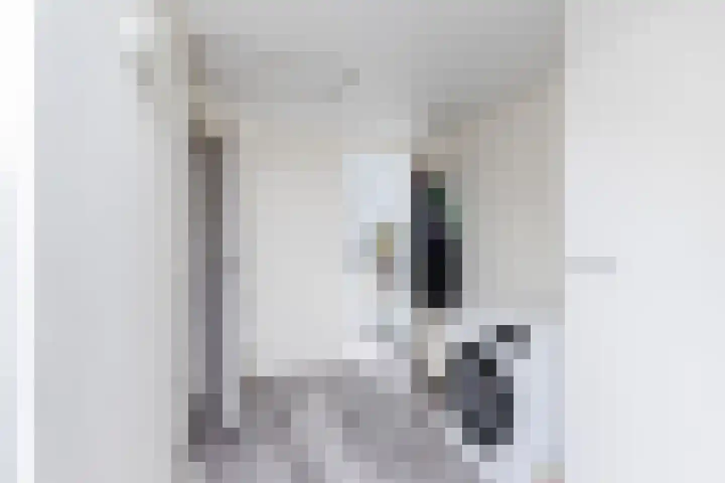 Abraham Kuijperstraat 56 Tilburg thumbnail 25