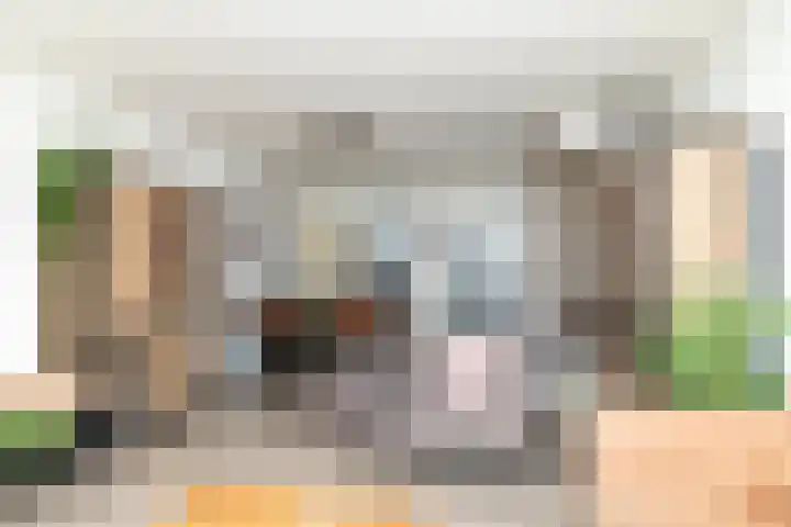 Abraham Kuijperstraat 60 Tilburg thumbnail 10