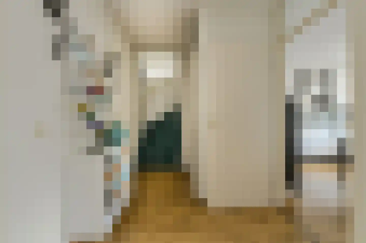 Abraham Kuijperstraat 63 Oosterhout thumbnail 20
