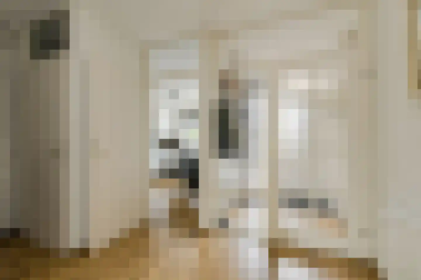 Abraham Kuijperstraat 63 Oosterhout thumbnail 4
