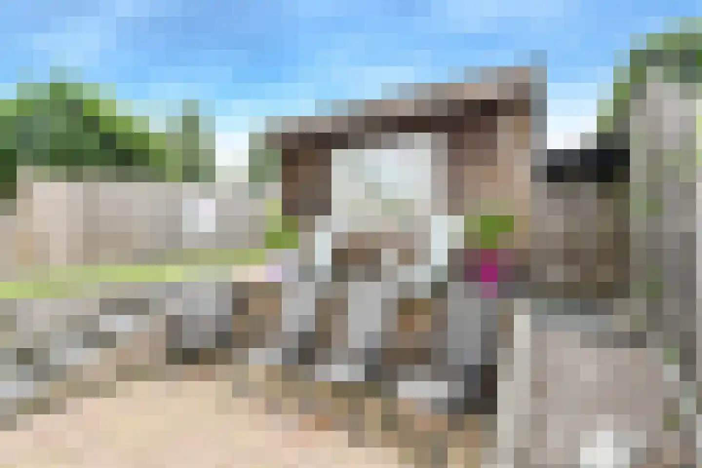 Abraham Kuijperstraat 63 Oosterhout thumbnail 43