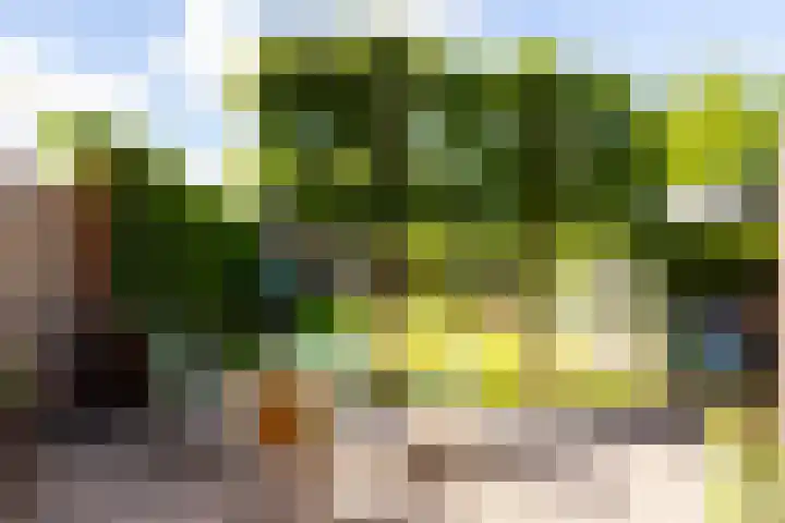 Abraham Kuijperstraat 7 Brummen thumbnail 28