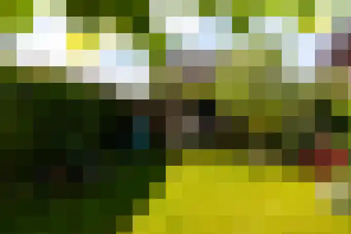 Abraham Kuijperstraat 7 Brummen thumbnail 29