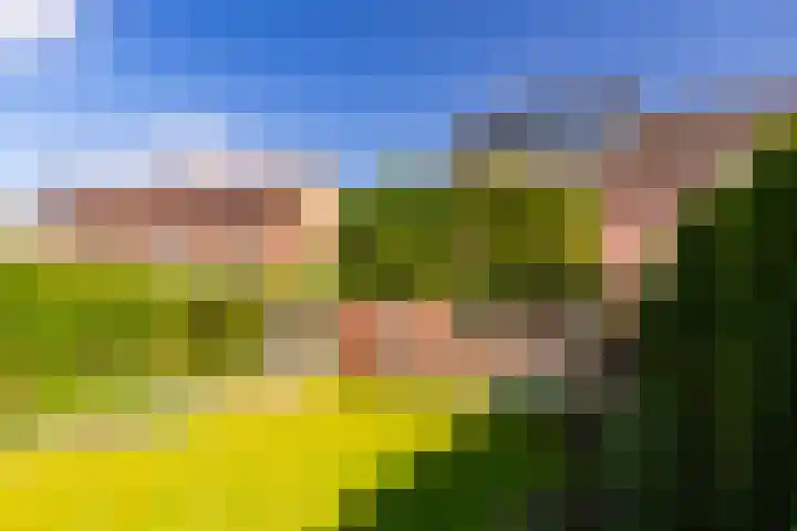 Abraham Kuijperstraat 7 Brummen thumbnail 31