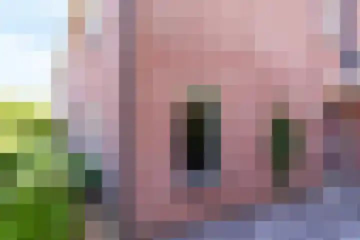 Abraham Kuijperstraat 7 Brummen thumbnail 33
