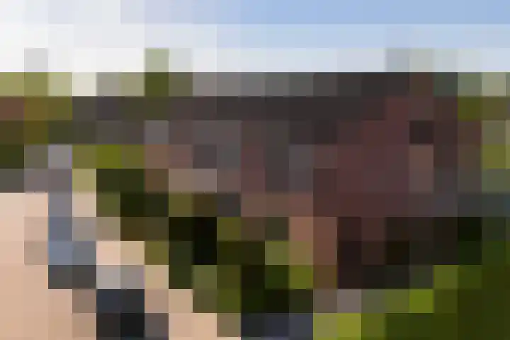 Abraham Kuijperstraat 7 Brummen thumbnail 34
