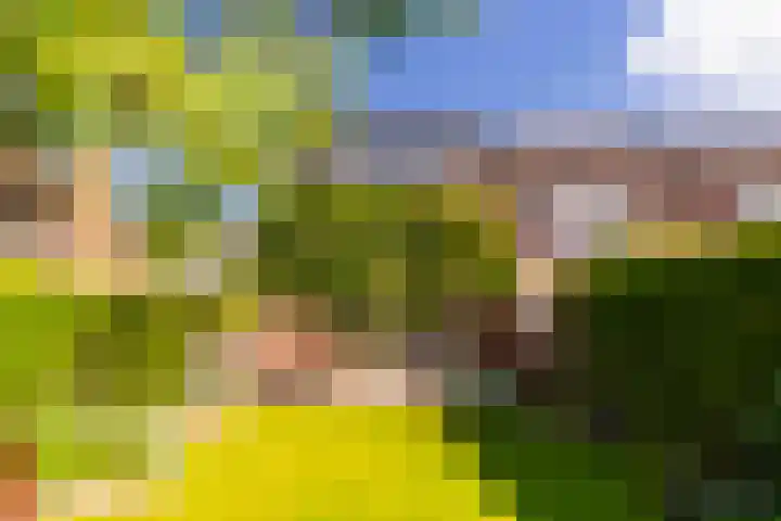 Abraham Kuijperstraat 7 Brummen thumbnail 5