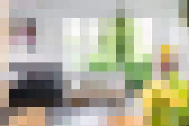 Abraham Kuijperstraat 7 Brummen thumbnail 8