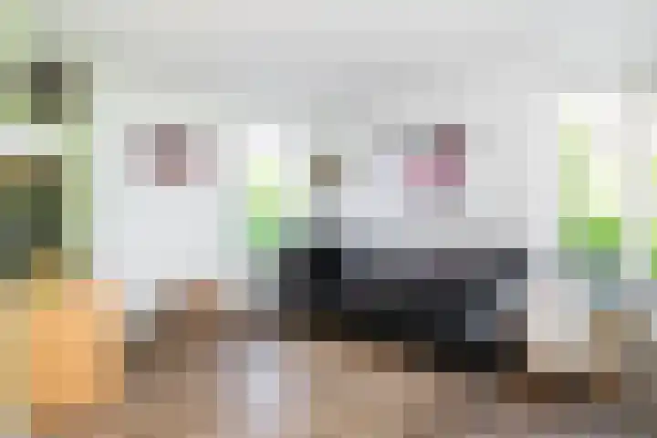 Abraham Kuijperstraat 7 Brummen thumbnail 9