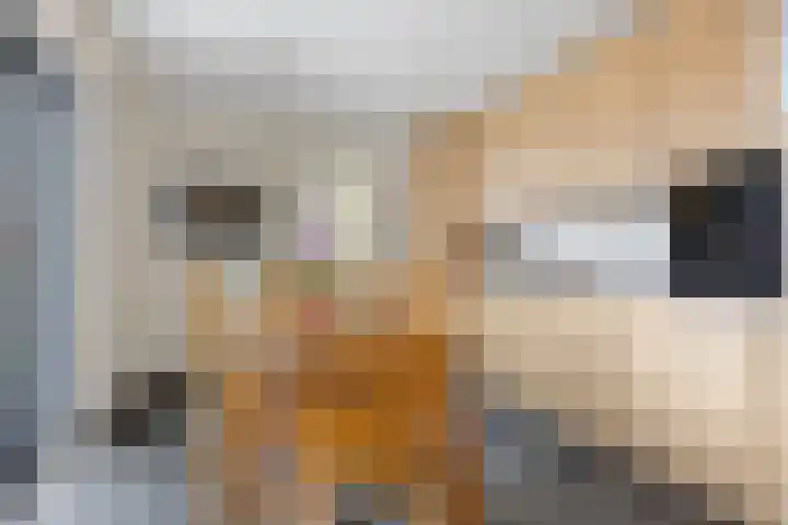 Abraham Kuyperhof 13 Drunen thumbnail 13