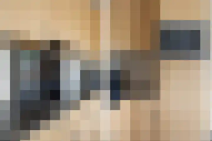 Abraham Kuyperhof 13 Drunen thumbnail 4