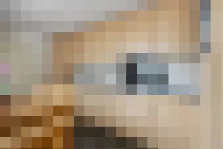 Abraham Kuyperhof 13 Drunen thumbnail 16