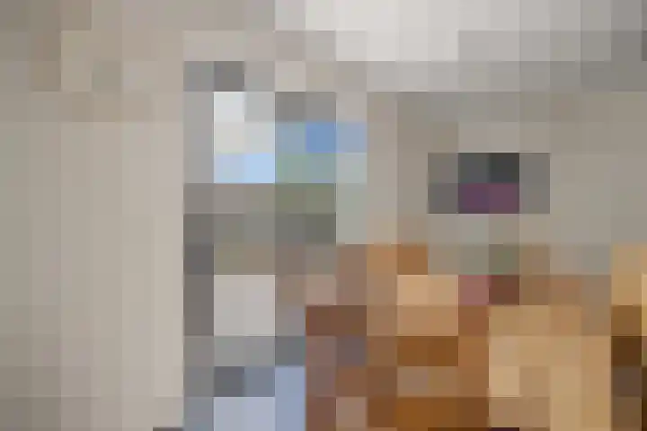 Abraham Kuyperhof 13 Drunen thumbnail 17
