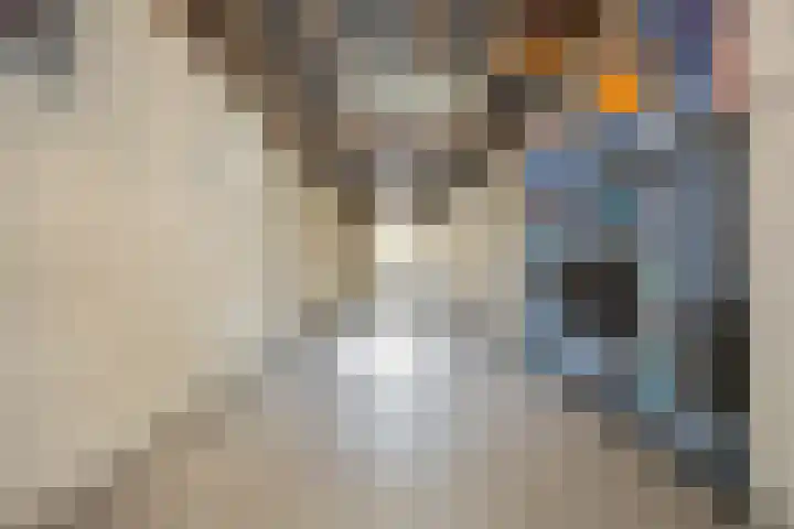 Abraham Kuyperhof 13 Drunen thumbnail 5