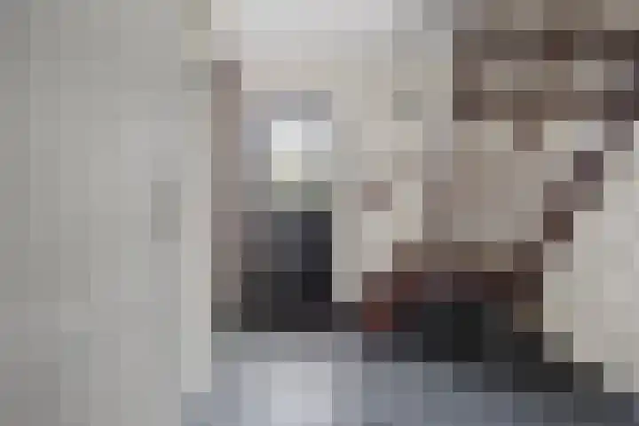 Abraham Kuyperhof 13 Drunen thumbnail 6
