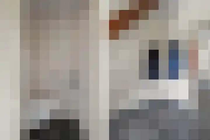 Abraham Kuyperhof 13 Drunen thumbnail 7
