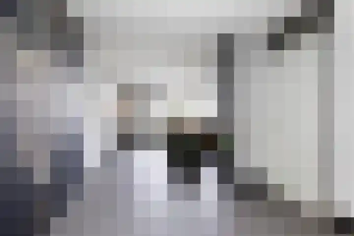 Abraham Kuyperhof 4 Wezep thumbnail 8