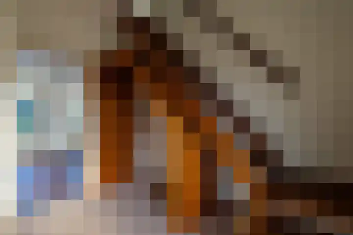Abraham Kuyperhof 7 Drunen thumbnail 14