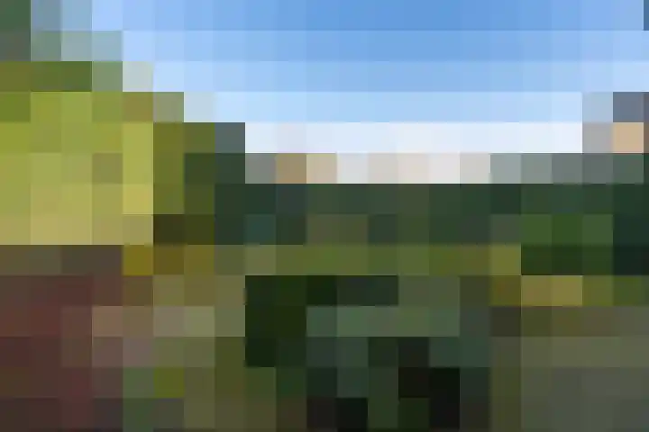 Abraham Kuyperhof 7 Drunen thumbnail 4