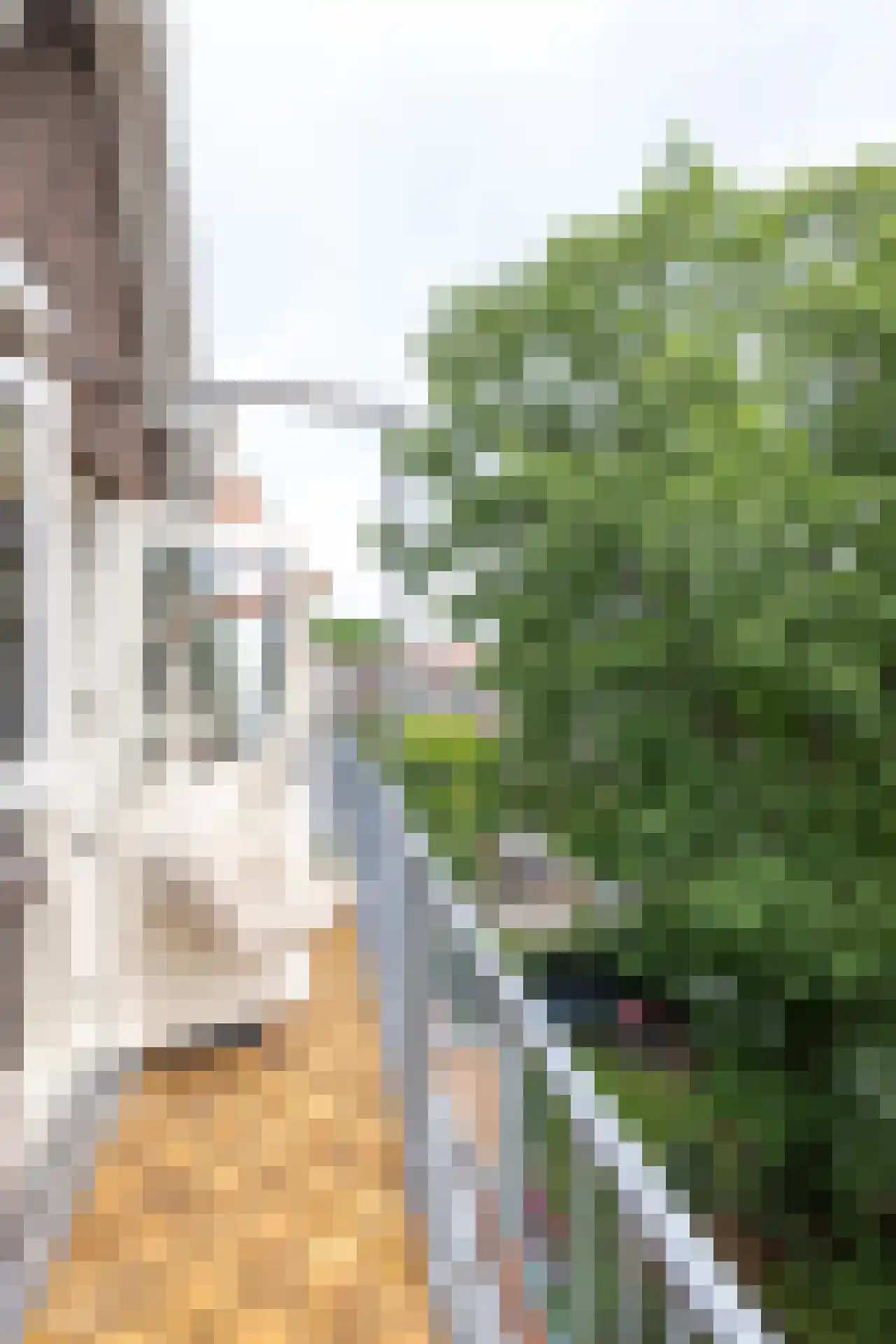 Abraham Kuyperlaan 106 B 02 Rotterdam thumbnail 21