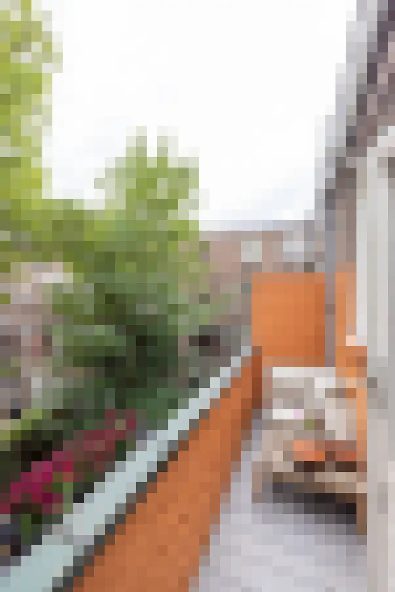 Abraham Kuyperlaan 106 B 02 Rotterdam thumbnail 7