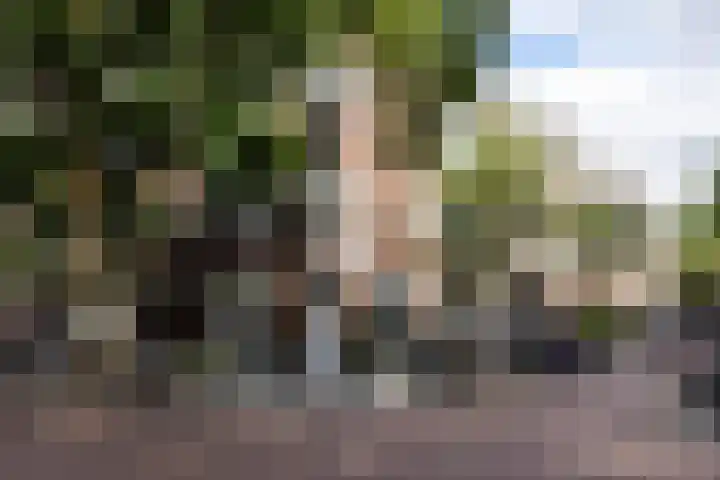 Abraham Kuyperlaan 112 A 01 Rotterdam thumbnail 43