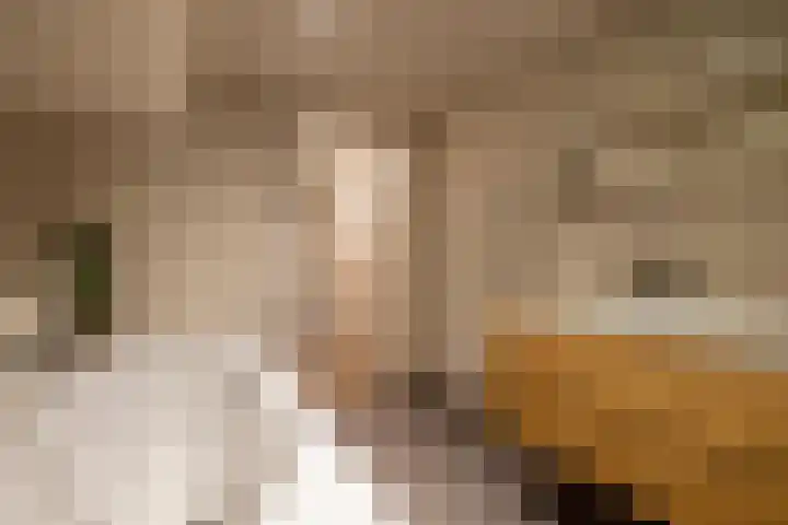 Abraham Kuyperlaan 112 A 01 Rotterdam thumbnail 5