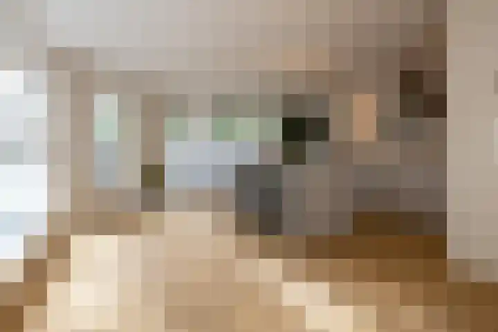 Abraham Kuyperlaan 112 A 01 Rotterdam thumbnail 7