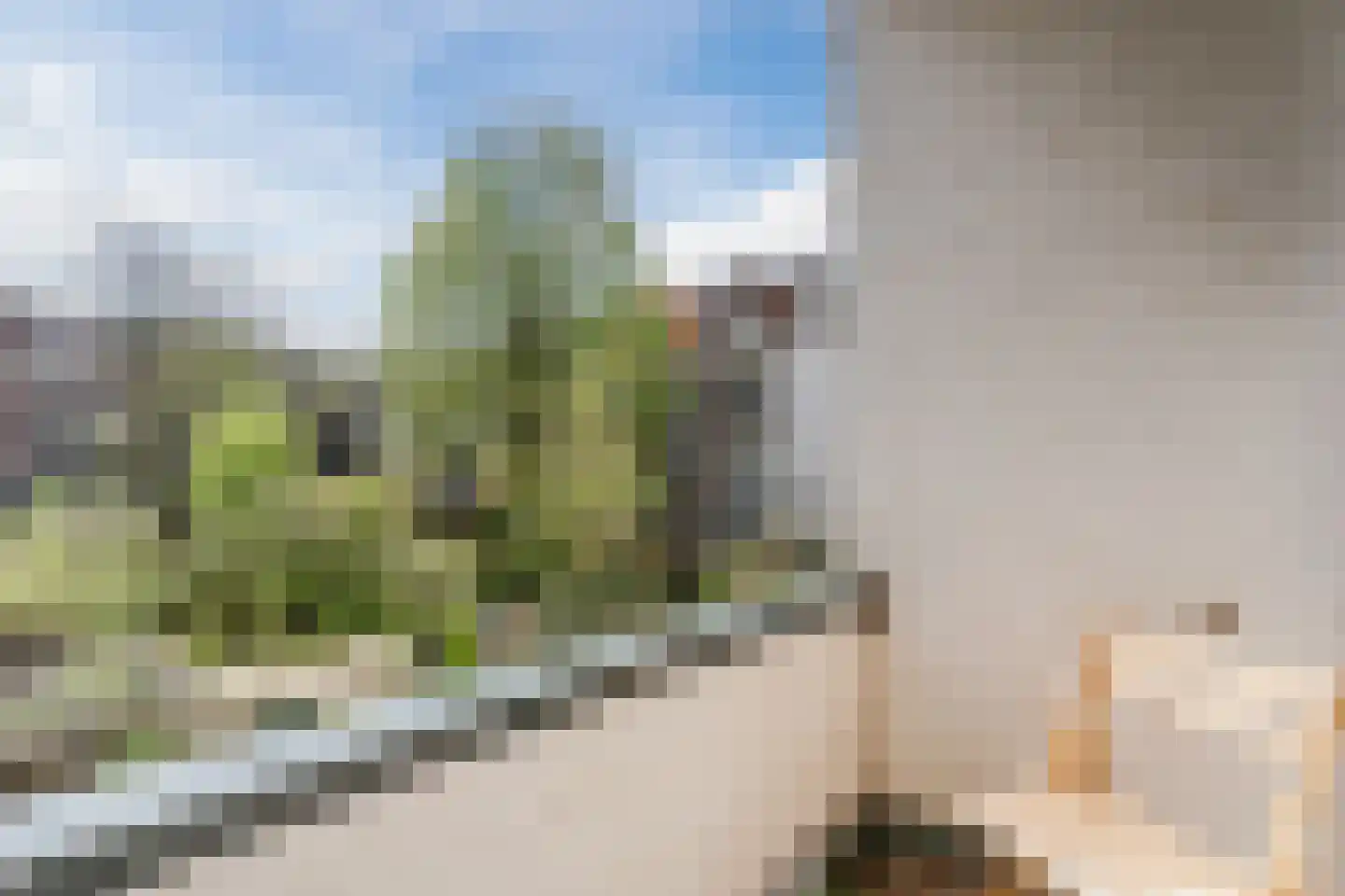 Abraham Kuyperlaan 16 A 01 Rotterdam thumbnail 22