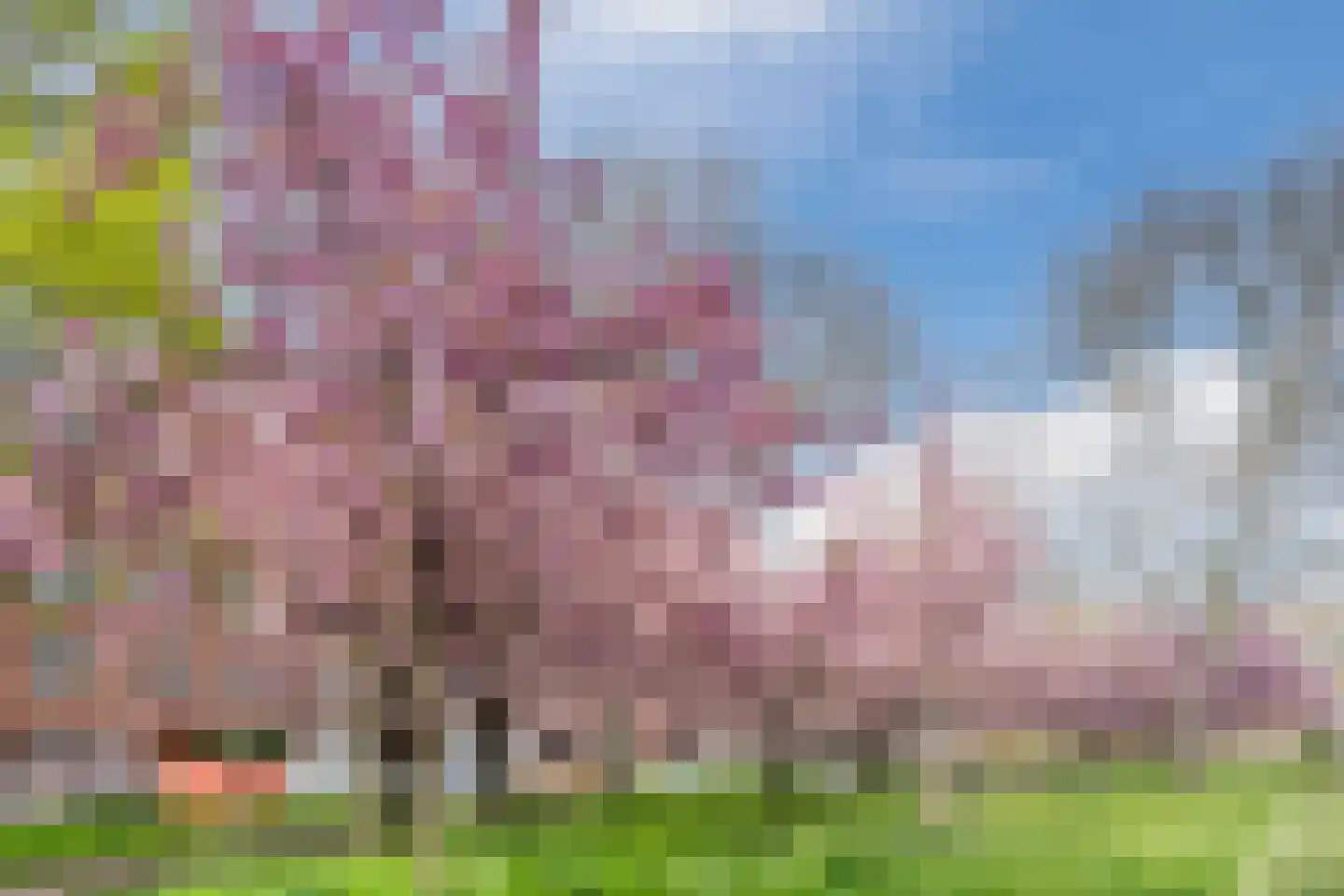 Abraham Kuyperlaan 16 A 01 Rotterdam thumbnail 41