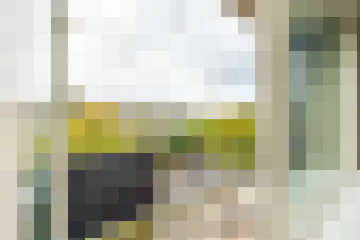 Abraham Kuyperlaan 18 Groningen thumbnail 12