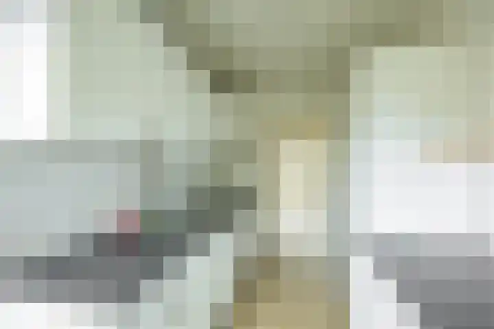 Abraham Kuyperlaan 18 Groningen thumbnail 21
