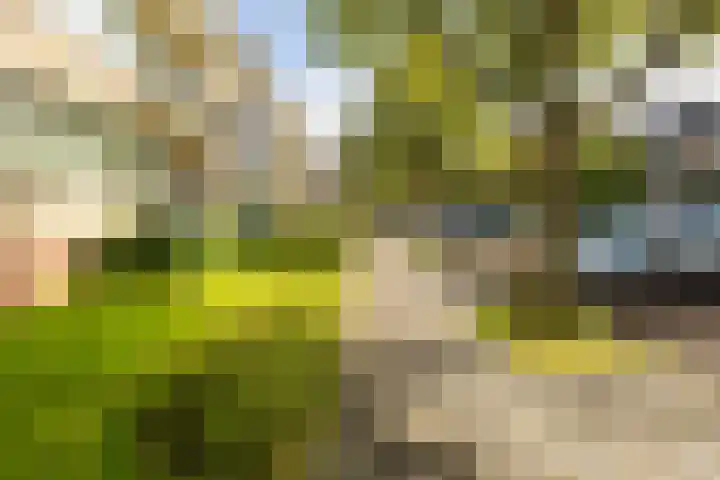 Abraham Kuyperlaan 18 Groningen thumbnail 33