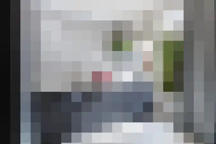 Abraham Kuyperlaan 22 A 02 Rotterdam thumbnail 21