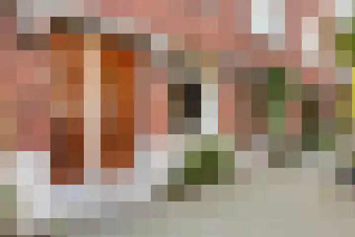 Abraham Kuyperlaan 22 A 02 Rotterdam thumbnail 44