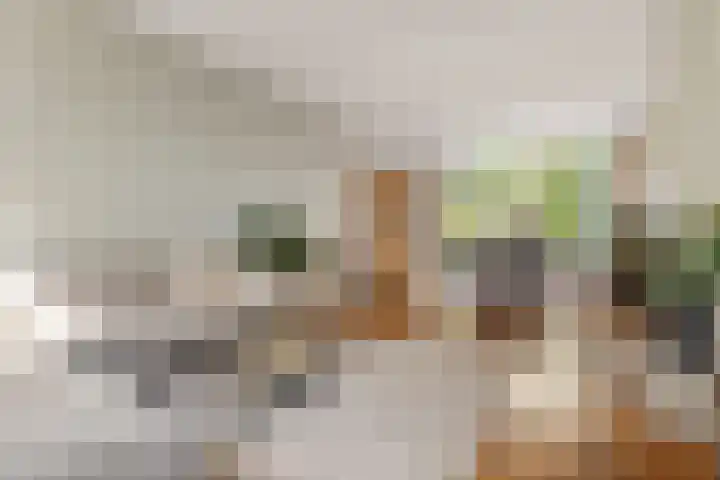 Abraham Kuyperlaan 27 Groningen thumbnail 11
