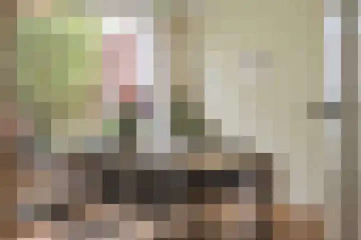 Abraham Kuyperlaan 27 Groningen thumbnail 12