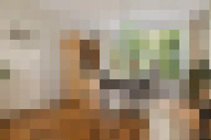 Abraham Kuyperlaan 27 Groningen thumbnail 17