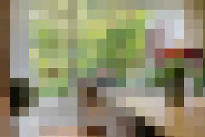 Abraham Kuyperlaan 27 Groningen thumbnail 18