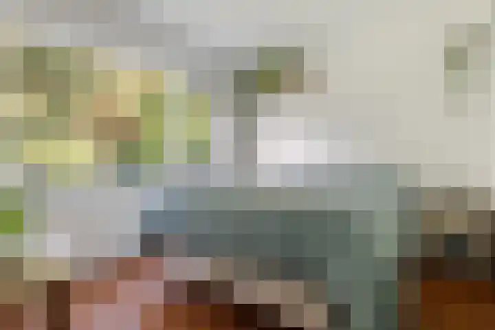 Abraham Kuyperlaan 27 Groningen thumbnail 25